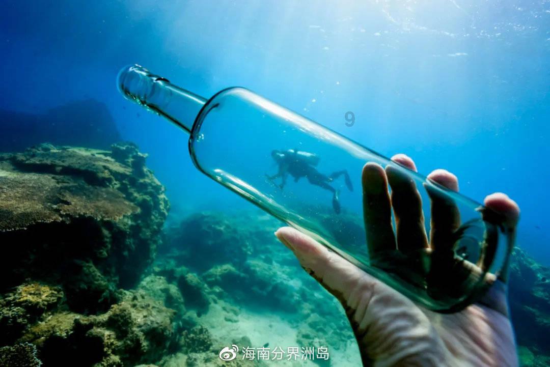 河南省2024年普通高考适应性测试（九省联考）全科试卷及解析评分